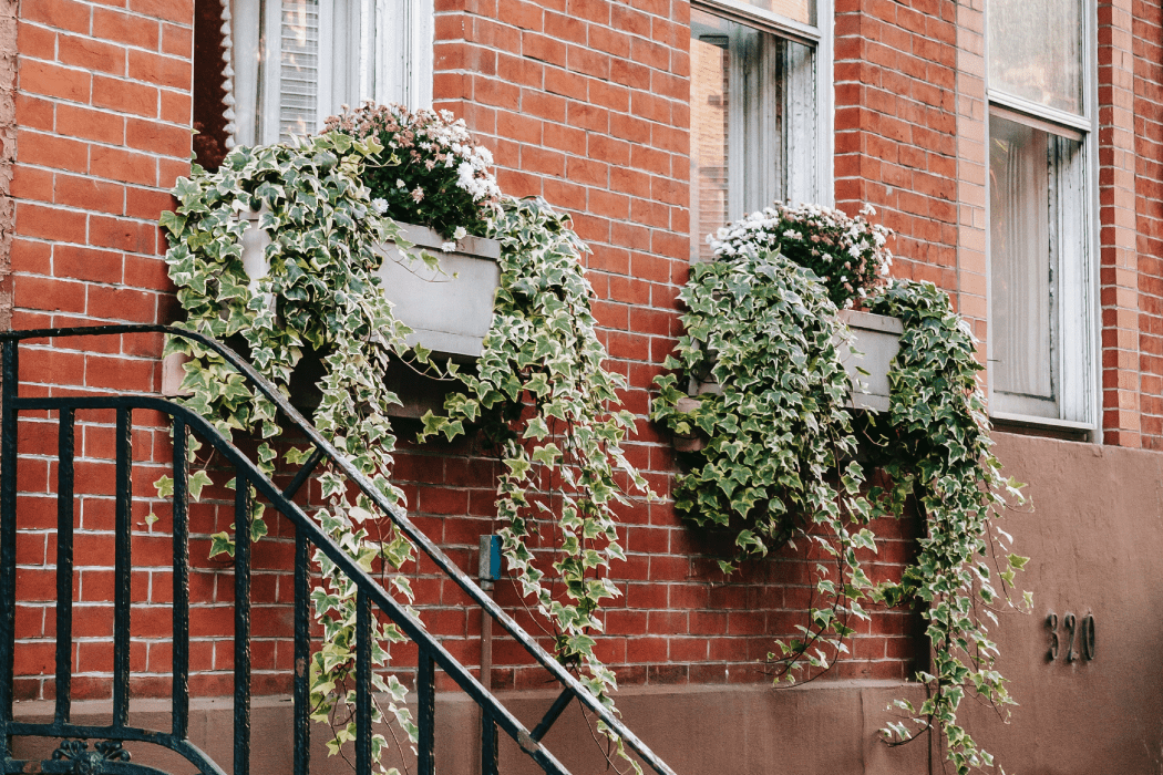 Row of townhomes